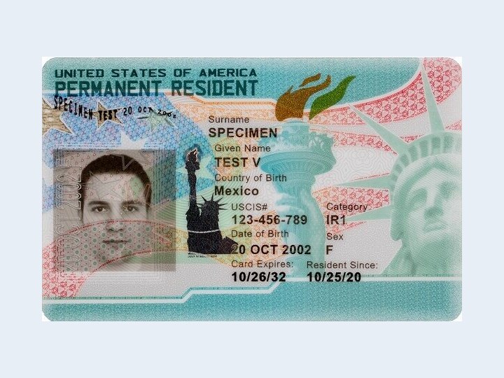 Wzór Green Card